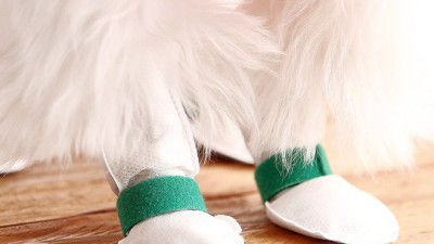 겨울철 필수템! 댕댕이 발 보호 염화칼슘강아지신발 후기 & 구매 팁🐶