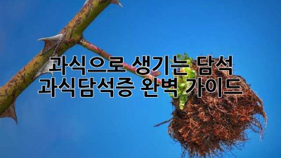 과식으로 생기는 담석? 과식담석증 완벽 가이드