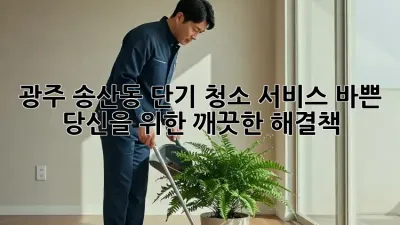 광주 송산동 단기 청소 서비스: 바쁜 당신을 위한 깨끗한 해결책!